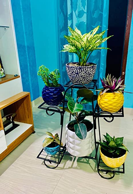 DECORASIA 6 pot Iron Plant Stand/Plant Stand for Balcony/Flower Pot Stand/Pot Stand for Indoor Plants/Pot Stand for Outdoor Plants/Planter Stand /6 Pot Holder. 6 - Layer Rustproof powder coated (Black)